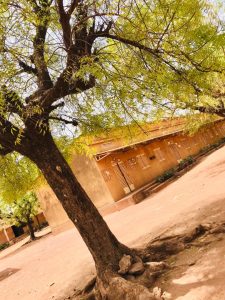 Ecole Primaire de Torokorobougou